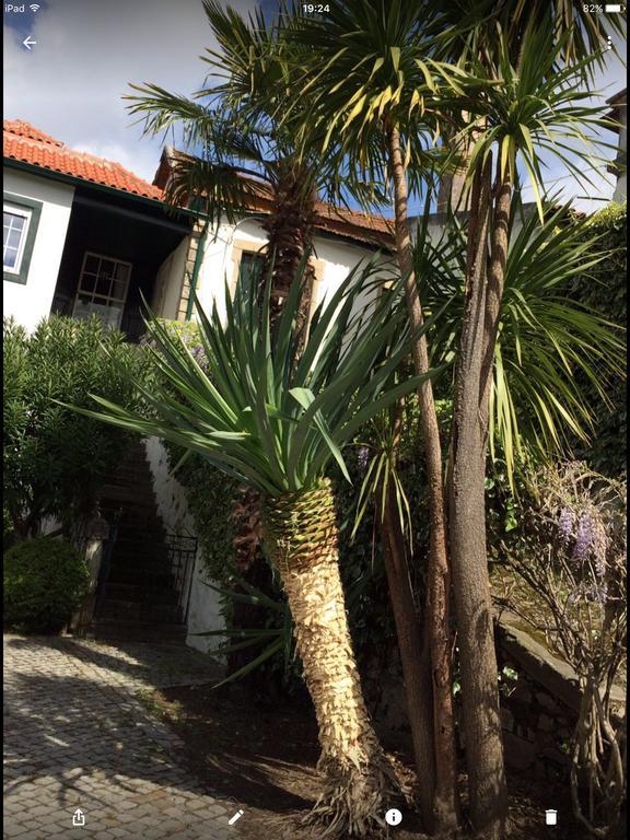 לינה וארוחת בוקר למאגו Quinta Do Fojo מראה חיצוני תמונה
