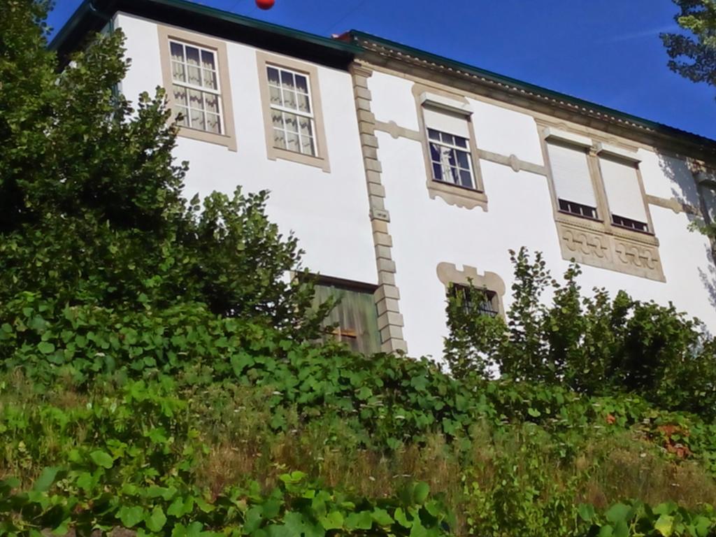 לינה וארוחת בוקר למאגו Quinta Do Fojo מראה חיצוני תמונה