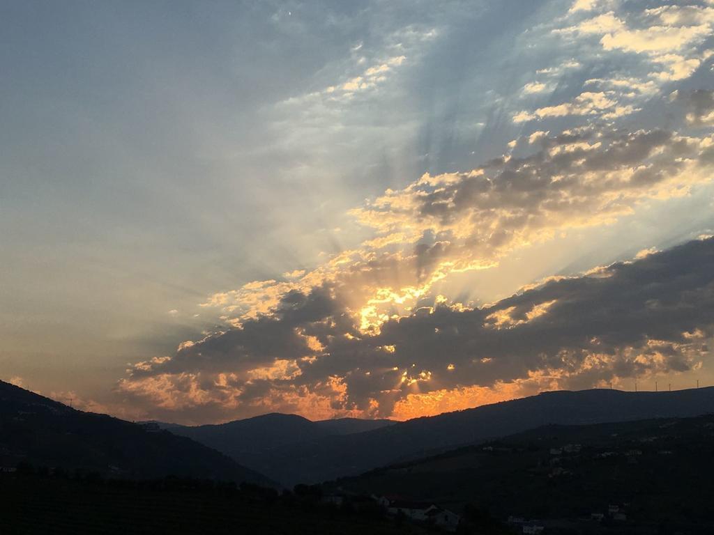 לינה וארוחת בוקר למאגו Quinta Do Fojo מראה חיצוני תמונה